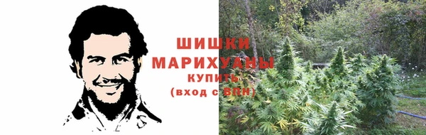 дмт Богородицк