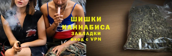 дмт Богородицк