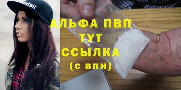spice Богданович