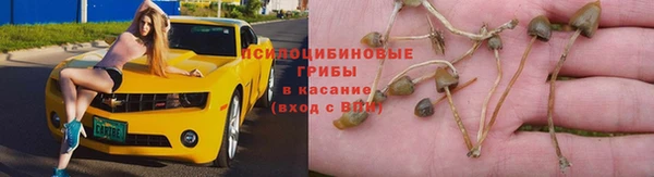 дмт Богородицк
