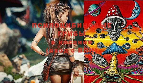 spice Богданович