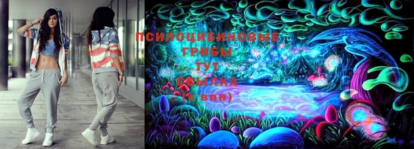 твердый Богородск