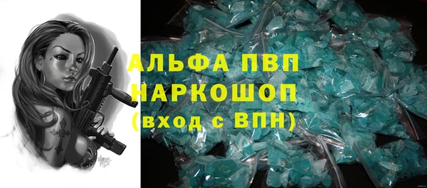 spice Богданович