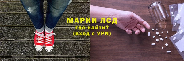 spice Богданович