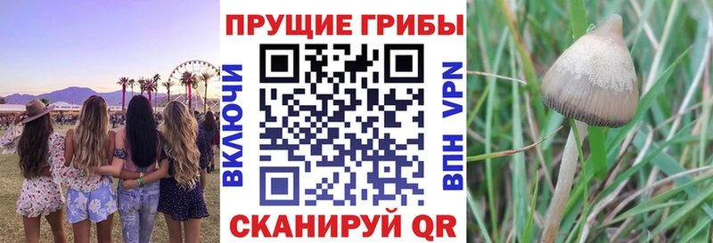 Псилоцибиновые грибы ЛСД  сколько стоит  Полесск 